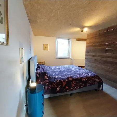 L'eglantine Rochefort