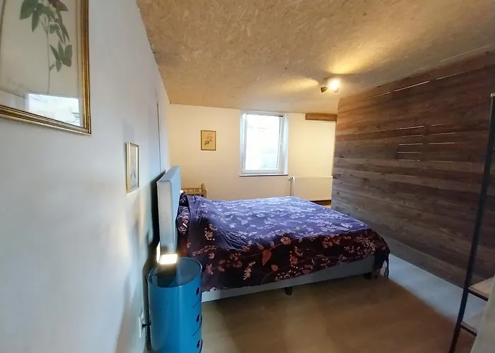 L'eglantine Rochefort